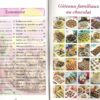 Gateaux familiaux au chocolat -6677