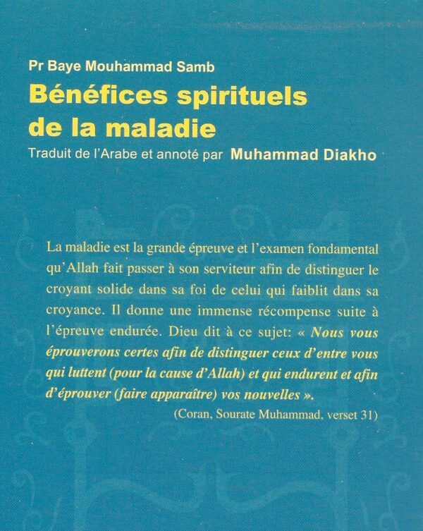Bénéfices spirituels de la maladie 1833 MAISON DENNOUR Bénéfices spirituels de la maladie