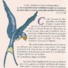 Ce ne sont pas les yeux, c'est le cœur qui devient aveugle-2182