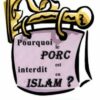 Pourquoi le porc est interdit en Islam ?-0