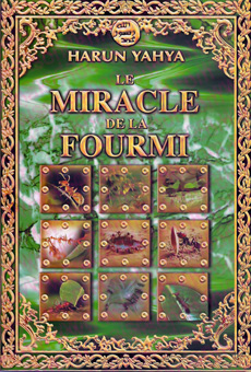 Le miracle de la fourmi-0