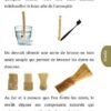 Le Siwak solution naturelle pour une hygiène bucco-dentaire-6843