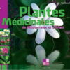 Plantes Médicinales de Méditerranée et d'Orient-0