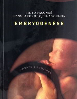 Embryogenèse - Nas E.Boutammina-0