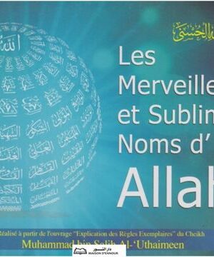 Les merveilleux et noms sublimes d'Allah-0