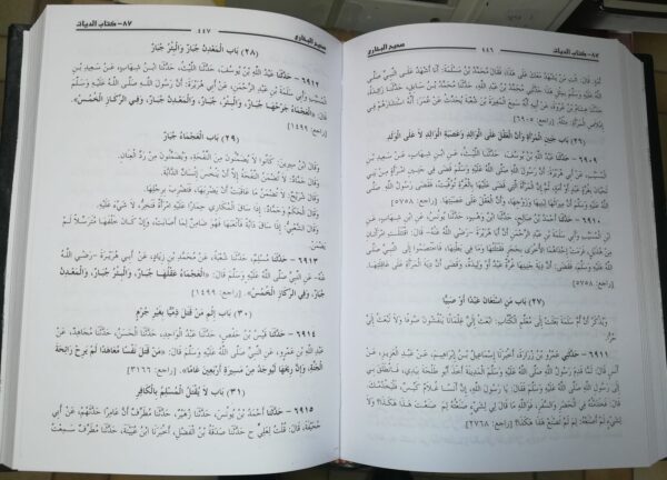 Sahih alboukhari صحيح البخاري مع كشف المشكل 1/4-9011