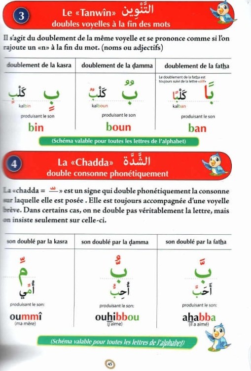 Apprendre l’Arabe : Méthode intensive pour les francophones-9083