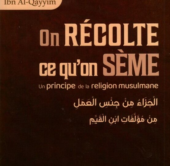 On récolte ce qu'on sème - Série : Le meilleur de l'imam Ibn Al Qayyim