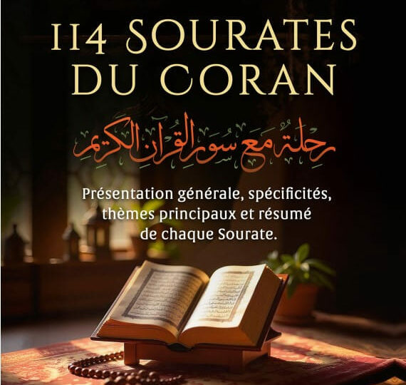 Voyage en compagnie des 114 sourates du Coran - Farid Ouyalize