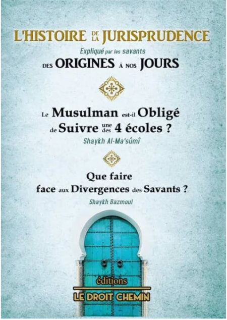 L'histoire de la jurisprudence expliqué par les savants des origines à nos jours - éditions Le Droit Chemin