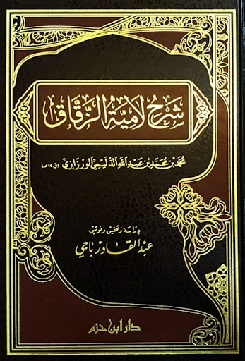 شرح لامية الزقاق - محمد بن محمد بن عبد الله الديلمي الورزازي